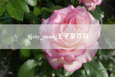 唐山王子豪百科
