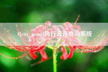 唐山执行公告查询系统