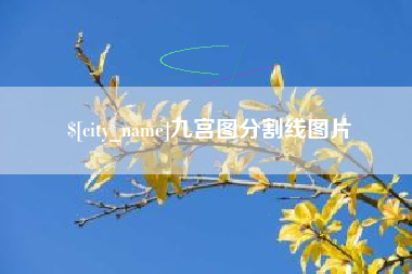 唐山九宫图分割线图片
