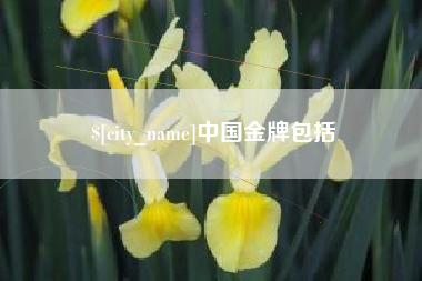 唐山中国金牌包括