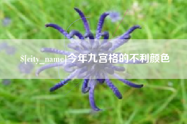 唐山今年九宫格的不利颜色