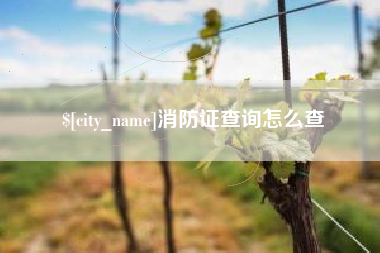 唐山消防证查询怎么查