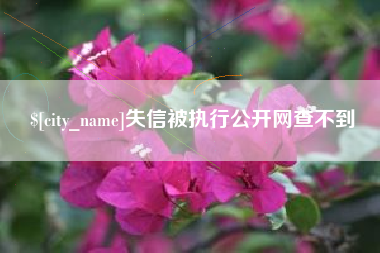 唐山失信被执行公开网查不到