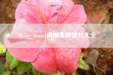 唐山中国金牌图片大全