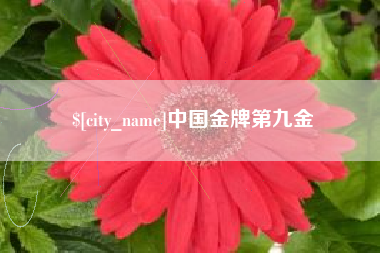 唐山中国金牌第九金