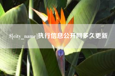 唐山执行信息公开网多久更新