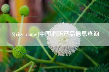 唐山中国消防产品信息查询
