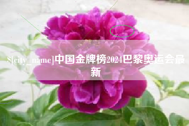 唐山中国金牌榜2024巴黎奥运会最新