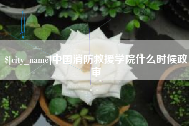 唐山中国消防救援学院什么时候政审