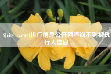 唐山执行信息公开网查询不到被执行人信息