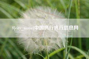 唐山中国执行执行信息网
