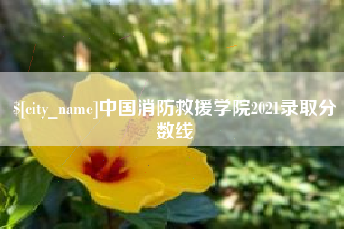 唐山中国消防救援学院2021录取分数线