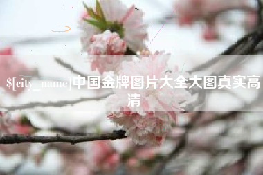 唐山中国金牌图片大全大图真实高清