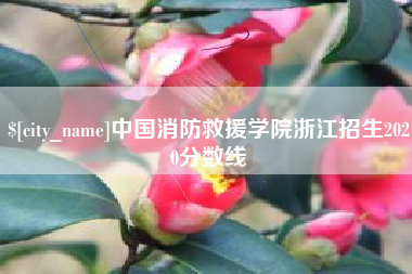 唐山中国消防救援学院浙江招生2020分数线