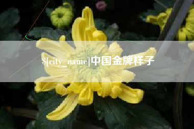 唐山中国金牌样子