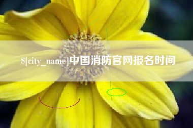 唐山中国消防官网报名时间