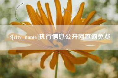 唐山执行信息公开网查询免费